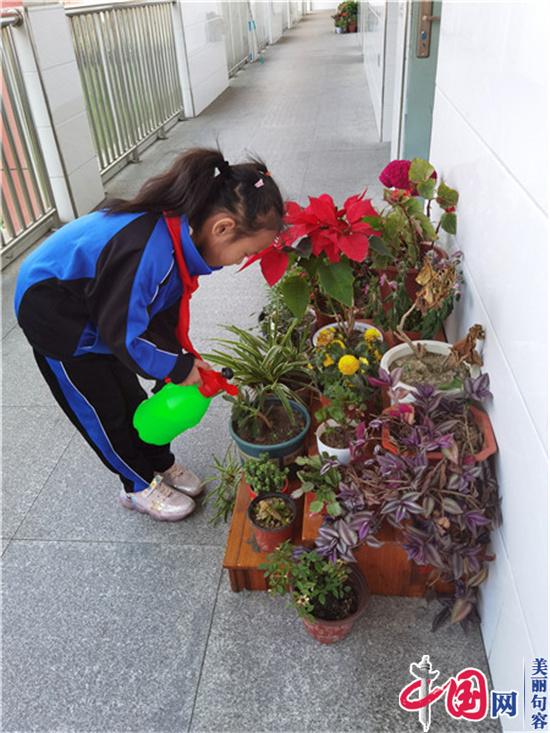 绿色植物角 幸福来报到——句容葛村中心小学“温馨班级”创建之“植物角”评比活动