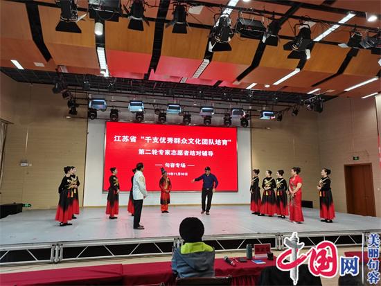 江苏省专家志愿者对句容优秀团队进行第二轮结对辅导