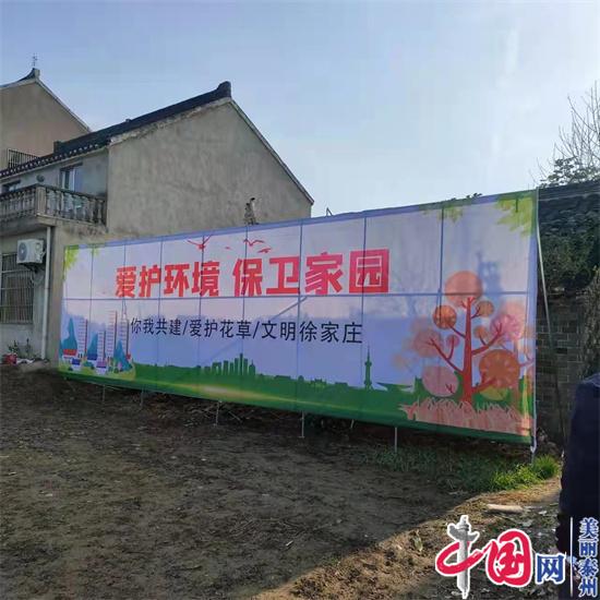 泰兴市珊瑚镇：巧妙搭配，精心描绘，为美丽乡村建设按下“快进键”