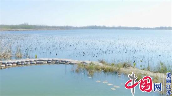 沛县龙湖湿地变身净化型生态安全缓冲区