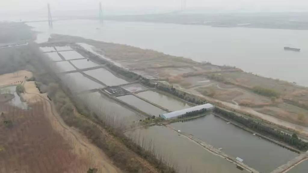 扬州经开区督察交办问题整改一拖再拖 沿江环境风险隐患治理不到位