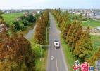南通通州农路“三路一桥”获得江苏农村公路省级品牌
