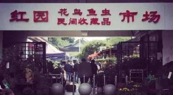 扬州红园改造升级 “仙次元”首亮相 成扬州式文化生活新IP