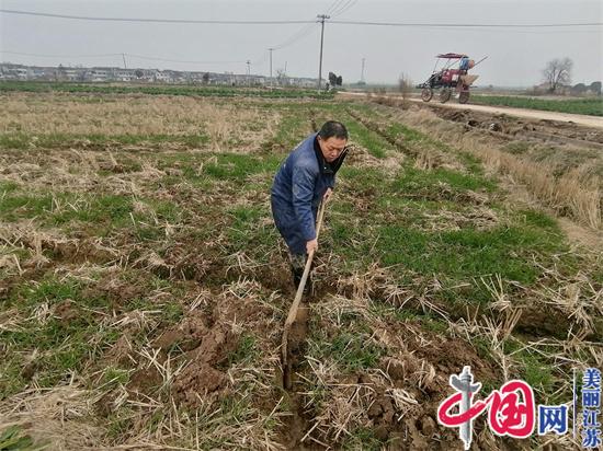 镇江农民刘龙华：扎根家乡做“田保姆”，400亩土地上种出省级示范田