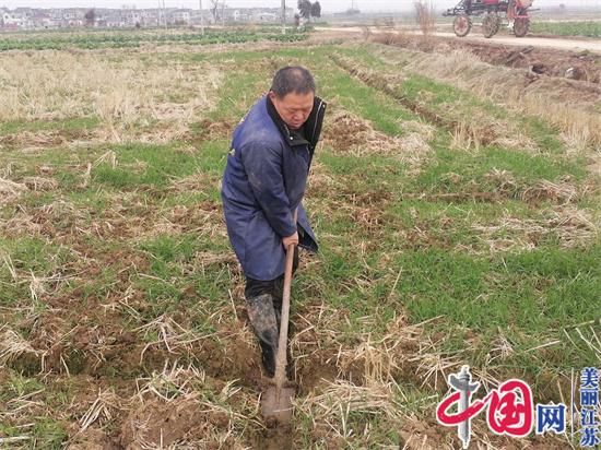 镇江农民刘龙华：扎根家乡做“田保姆”，400亩土地上种出省级示范田