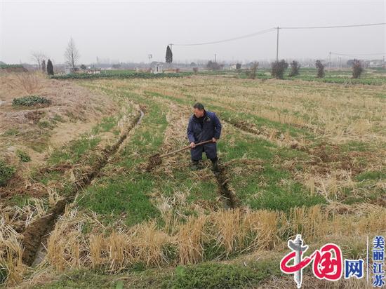 镇江农民刘龙华：扎根家乡做“田保姆”，400亩土地上种出省级示范田