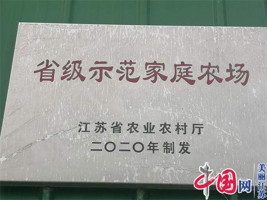 镇江农民刘龙华：扎根家乡做“田保姆”，400亩土地上种出省级示范田