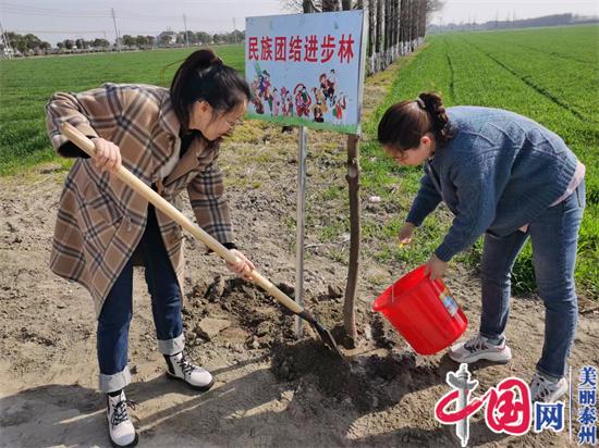 泰兴市古溪镇：种民族团结林 建美丽新家园