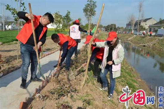 泰兴市虹桥镇：推进“四旁”植树 扮靓乡村颜值