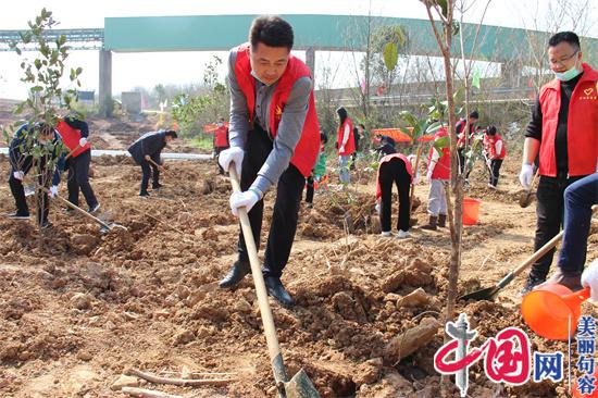 句容华阳街道：履行植树义务，助力双碳行动