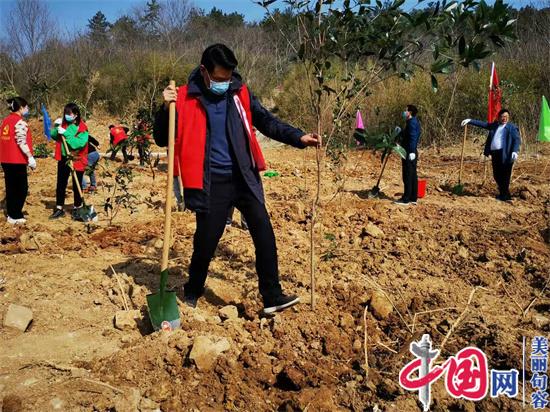 句容华阳街道：履行植树义务，助力双碳行动