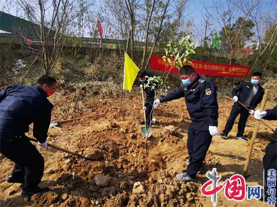 句容华阳街道：履行植树义务，助力双碳行动