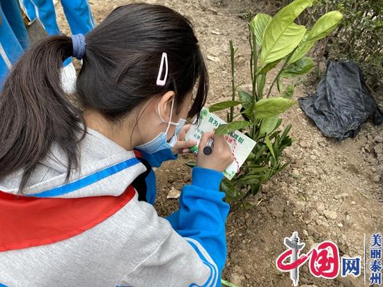 做靓生态环境 营造“祥福”氛围——我为祥福种棵树活动