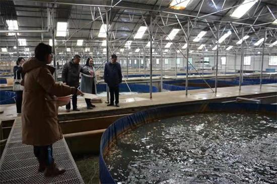 兴化宏云渔业：“工厂化”养鱼探出生态环保养殖新路径