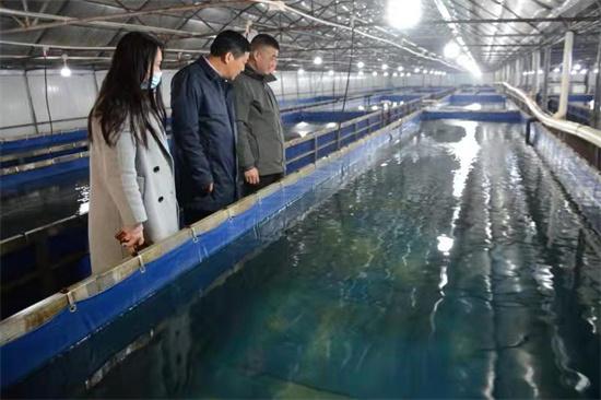 兴化宏云渔业：“工厂化”养鱼 探出生态环保养殖新路径