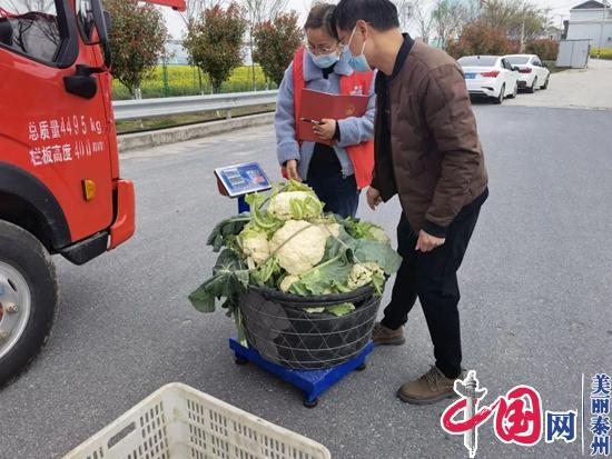 泰兴市滨江镇：隔离不隔情 村委帮隔离种菜户解决燃眉之急