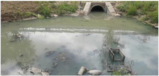 江苏淮安部分区县污水收集处理不到位 水环境问题突出