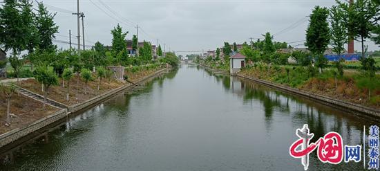 泰兴市古溪镇皂桥村：乡村振兴展新颜 美丽宜居新农村