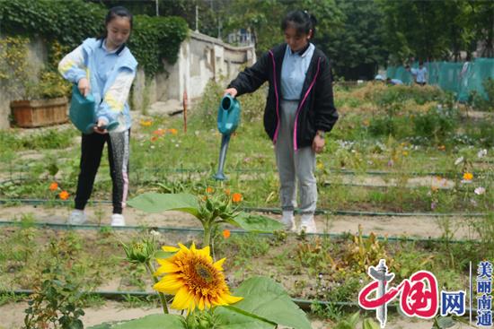 江苏南通启秀中学为城市学生打造现实版“百草园”