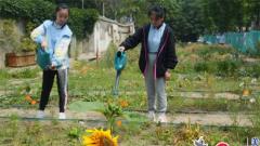 江苏南通启秀中学为城市学生打造现实版“百草园”