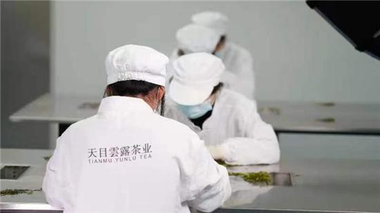 中国制茶大师葛联敏——奔向白茶界的中国标杆