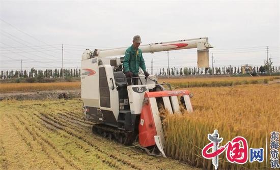 兴化市沙沟镇：全力推进粮食产业园区建设