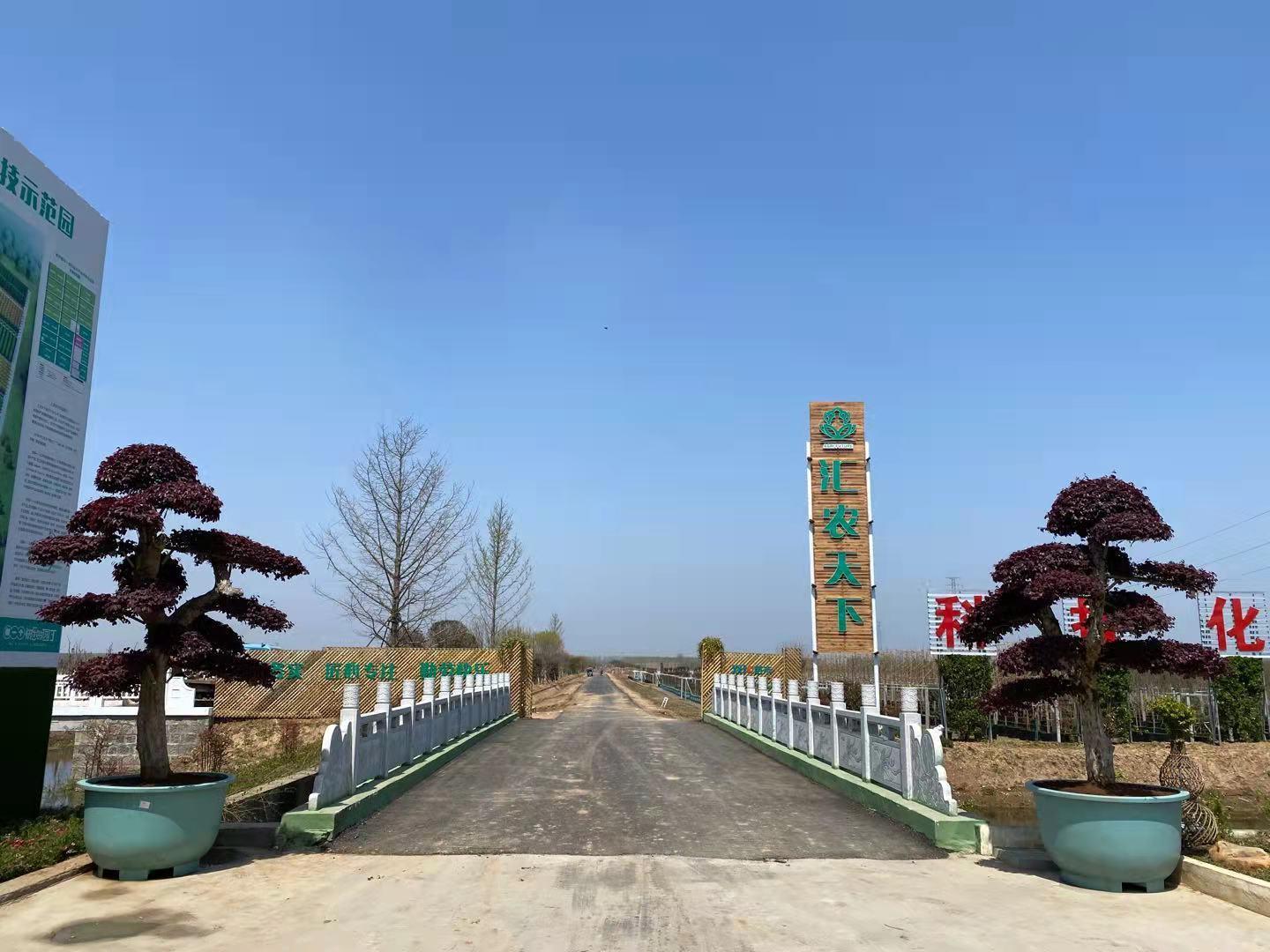 江苏新沂市窑湾镇“三乡工程”成为乡村振兴加油站