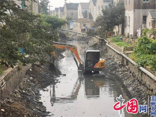 生态“颜值”再刷新——苏州沈桥村多措并举整治水环境