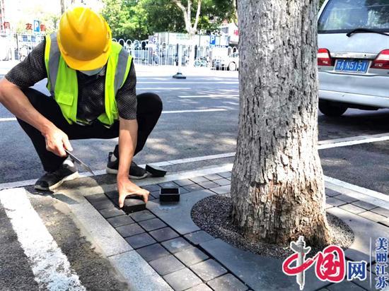 南京鼓楼区园林首创精品树池提档改造