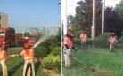 高温下 兴化戴南镇有一群“绿马甲”用汗水“浇灌”树木花草