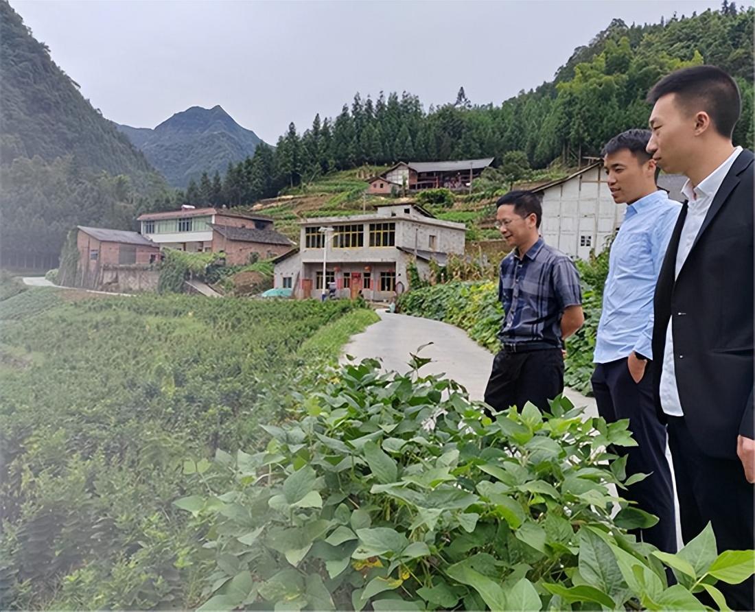 筠连县科协调研指导丰乐乡中药材科普基地和种植基地建设