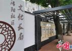 苏州黄埭潘阳社区：营造法治文化氛围 全力推动法治社区建设