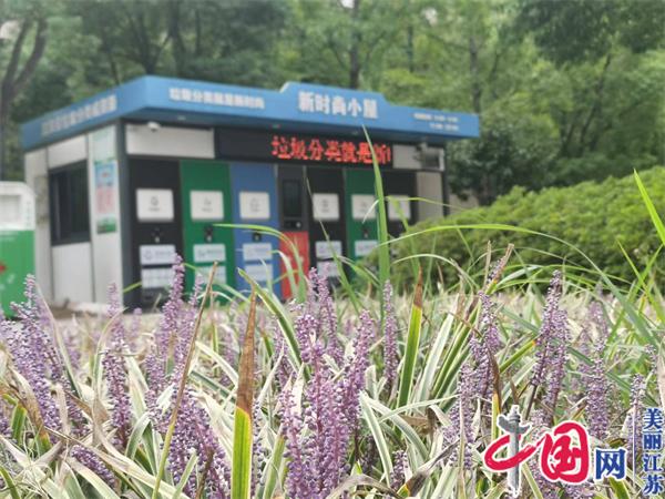 南京高淳建立市场化运作助力垃圾分类提质增效