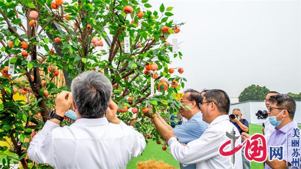 2022年苏州市中国农民丰收节在吴江区七都镇举行
