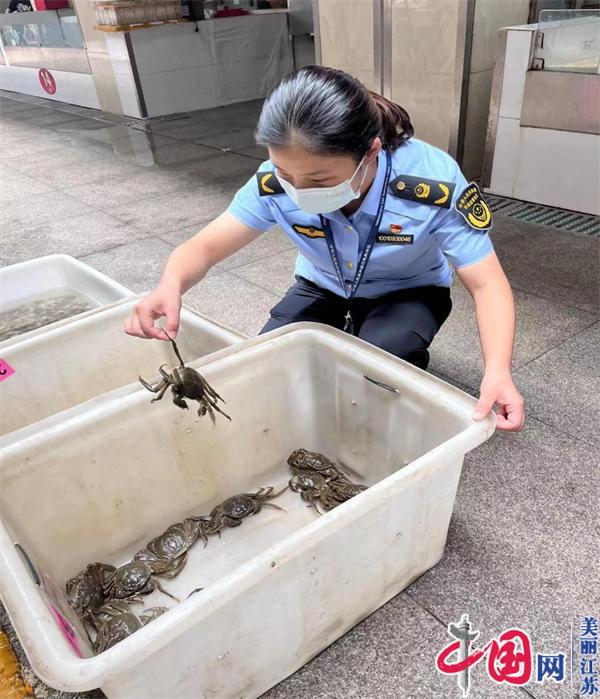 吃蟹正当时 南京六合区市场监督管理局开展螃蟹专项检查