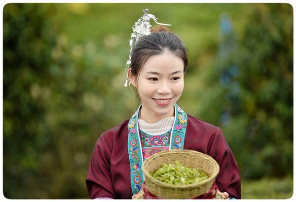 ​2022广西三江茶“电商消费节”盛大开幕，让敢于天下先的三江早春茶走入千万家