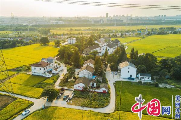 苏州黄埭高标准农田零散地治理项目入选市级示范项目
