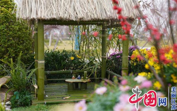 全省绿化工花境创意决赛在连云港举行 65处特色花境各具匠心 将成为“园博园”保留景观