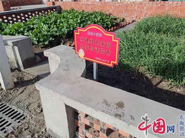 兴化市竹泓镇打造“美丽小菜园” 美化大环境 助创文明城市