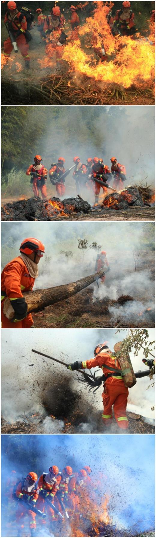 锤炼实战能力，森林消防开展班组灭火演练