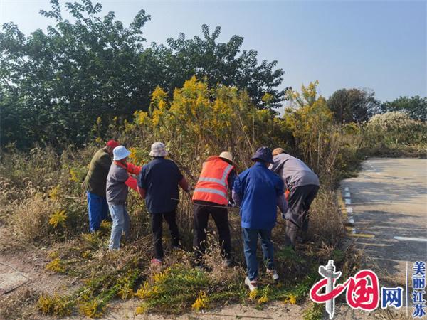 苏州相经开北桥鹅东村开展秋季农村人居环境整治志愿服务