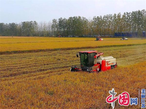 江苏宝应湖：全程机械化助力高质量秋收秋种