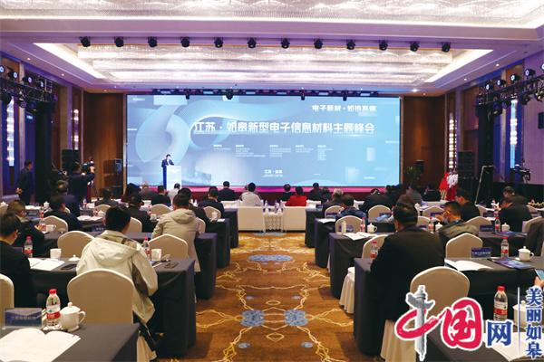 向高质量发展阔步迈进 江苏·如皋新型电子信息材料主题峰会在长江镇举行