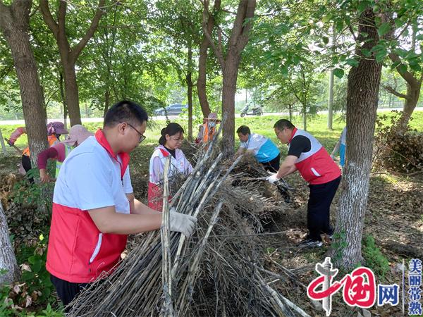 江苏常熟市沙家浜镇华阳村：“五治”融合书写乡村振兴“新画卷”