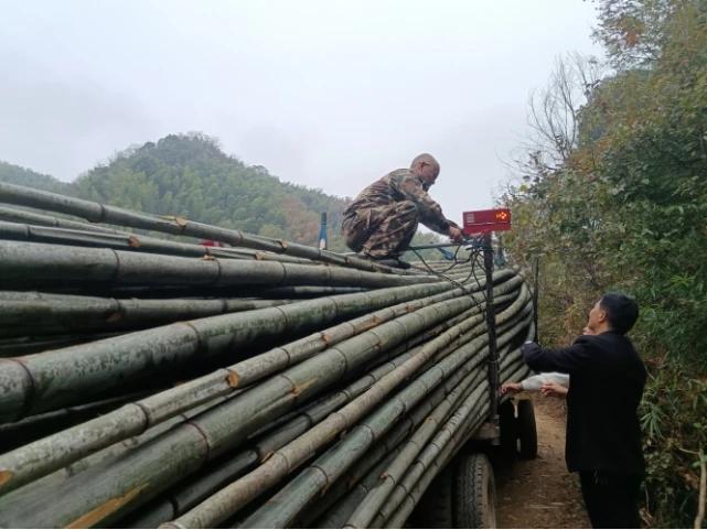 绥宁县：引进性能好手续全的车辆 切实解决竹农运输难问题