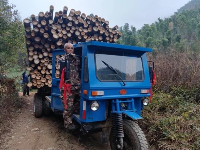 引进性能好手续全的车辆 切实解决竹农运输难问题