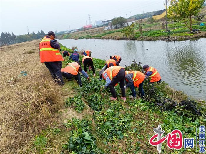 苏州相经开北桥庄基村开展河道垦坡种植专项清理行动