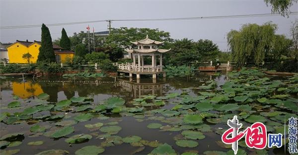 “江苏省绿美村庄”藕杭村：一个特别有故事的地方