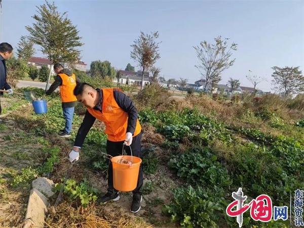 兴化市合陈镇文明城市创建在行动