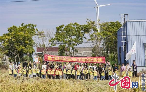 兴化市乡村振兴工作十队：乡村振兴“三步走” 铺陈农村新画卷